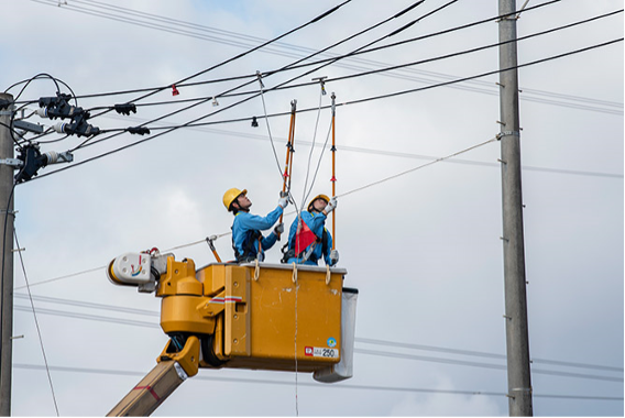 現場作業の様子（提供：東北電力ネットワーク）