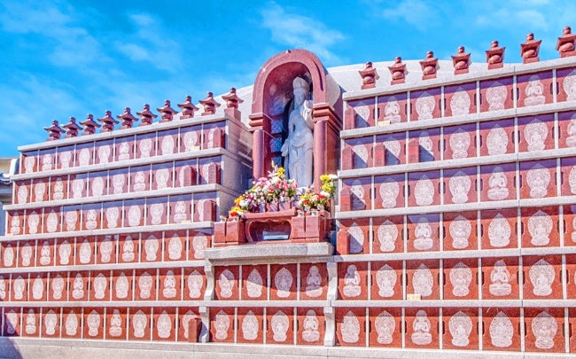 ※イメージ写真