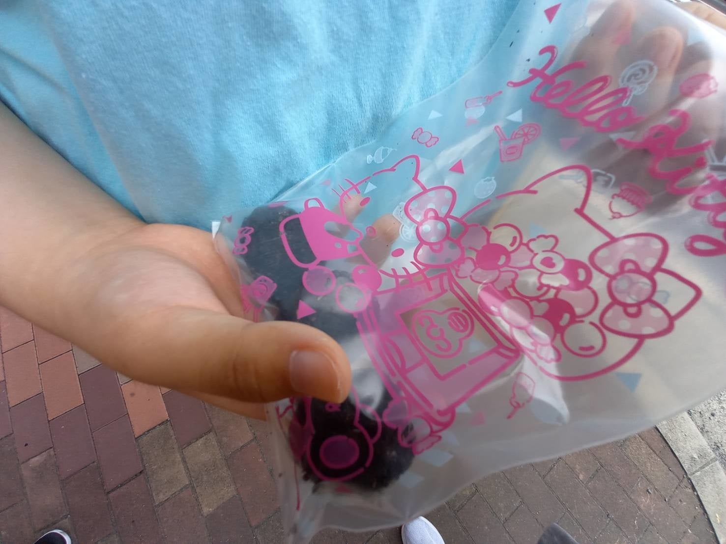 園芸用の種ダンゴを用意し、皆で植えました