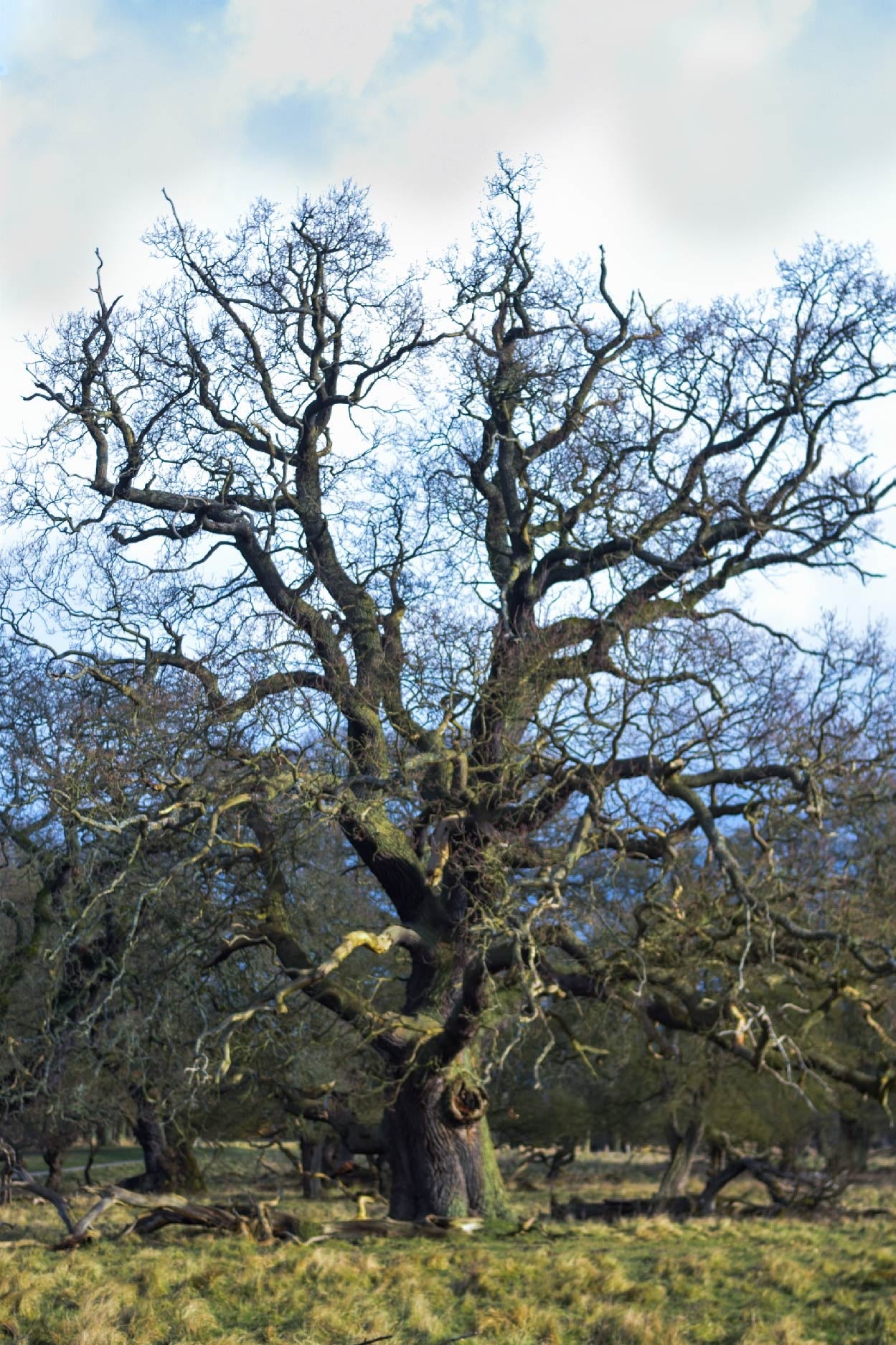 デンマークの人々が脈々と紡いできた「ヒュッゲ」に、彼らの価値観や思想が息づいています。