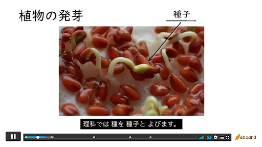 「やさしい字幕」が表示されたICT教材eboardの映像授業