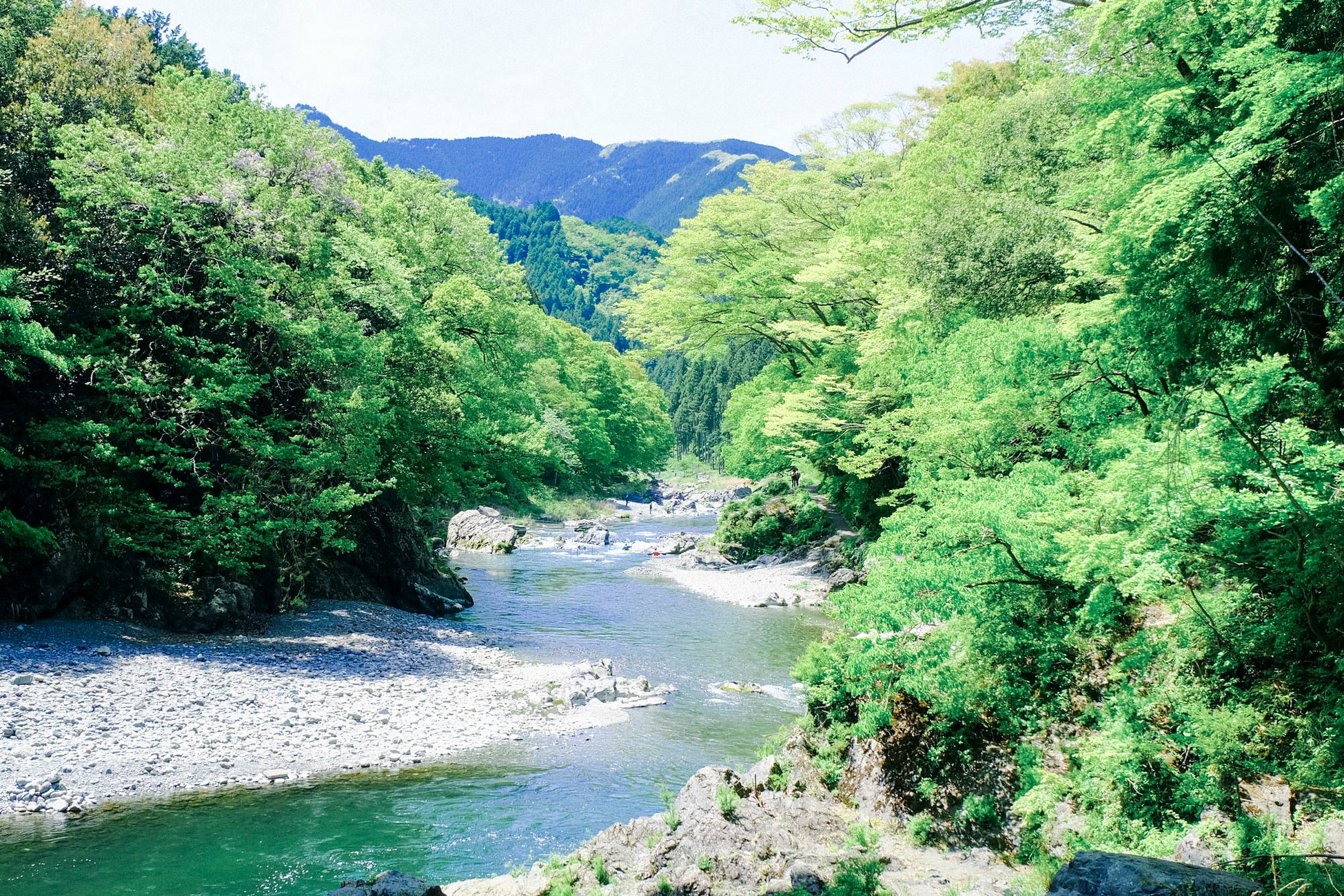 東京は 夏こそおもしろい 東京の山間地域で新体験やイベントが続々誕生 株式会社グッドライフ多摩のプレスリリース 東京は 夏こそおもしろい 東京の山間地域で新体験やイベントが続々誕生 株式会社グッドライフ多摩のプレスリリース