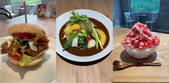 てりやきチキンカツバーガー800円、15種の野菜カレー1,200円、ミルクフラッペけずりイチゴ800円（全て税込）