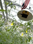 環境センサシステム「ECOREQUIRE」