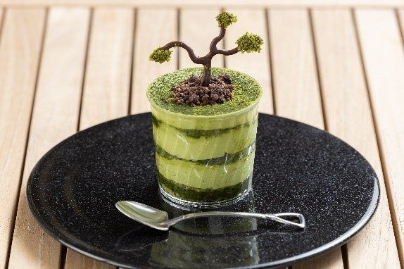 盆栽ティラミス