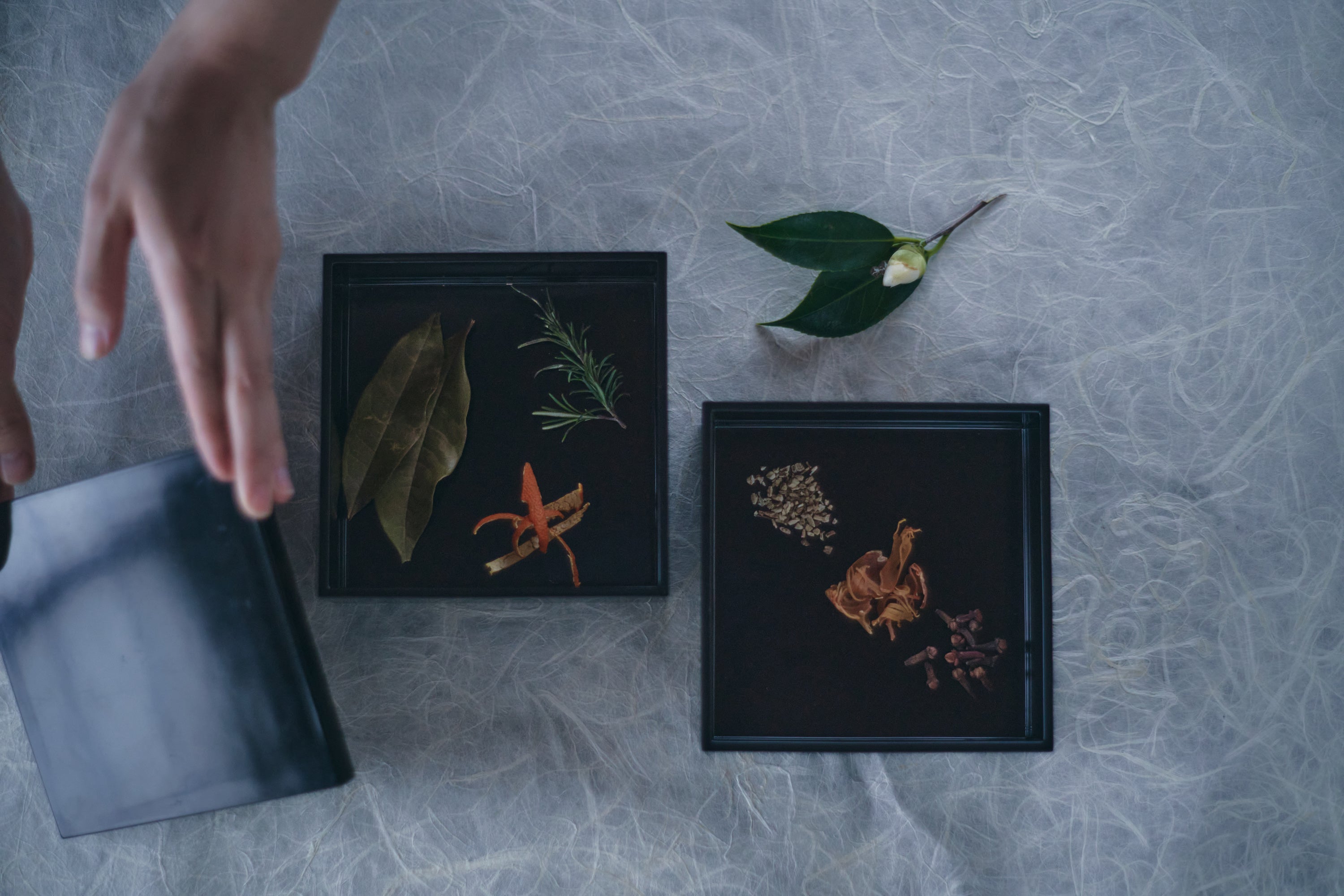 スモーキーさのなかにやさしい柑橘の香りを感じる冬らしい装いの風味である「蜜柑」を基調にしたHOLON SEASONAL 冬蜜柑。蜜柑の皮をキーボタニカルに、焦がしたローズマリーやクローブを加えたスパイシーな香りを楽しめます。