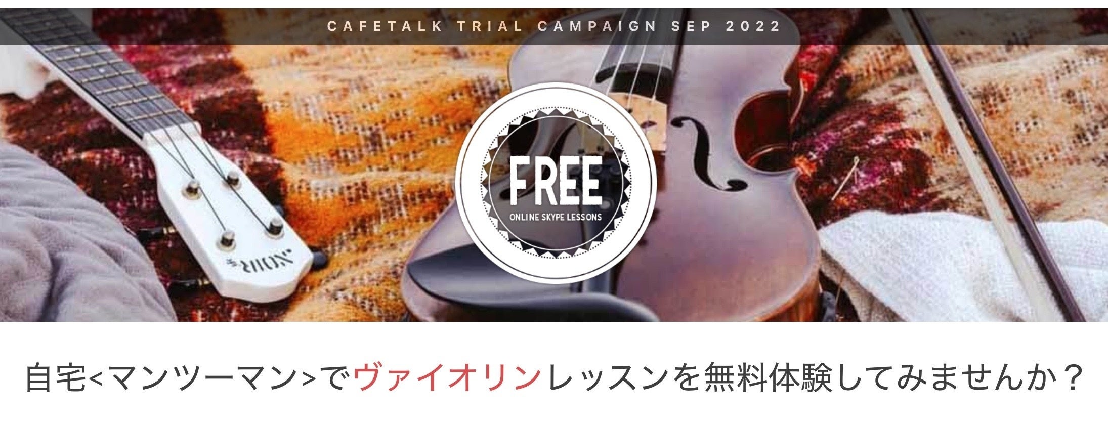 オンラインレッスンモニター