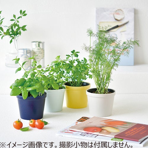 トレンド感のあるアイテムや新習慣をあたらしい暮らしに ハンズの春ギフト22 株式会社ハンズのプレスリリース トレンド感のあるアイテムや新習慣をあたらしい暮らしに ハンズの春ギフト22 株式会社ハンズのプレスリリース