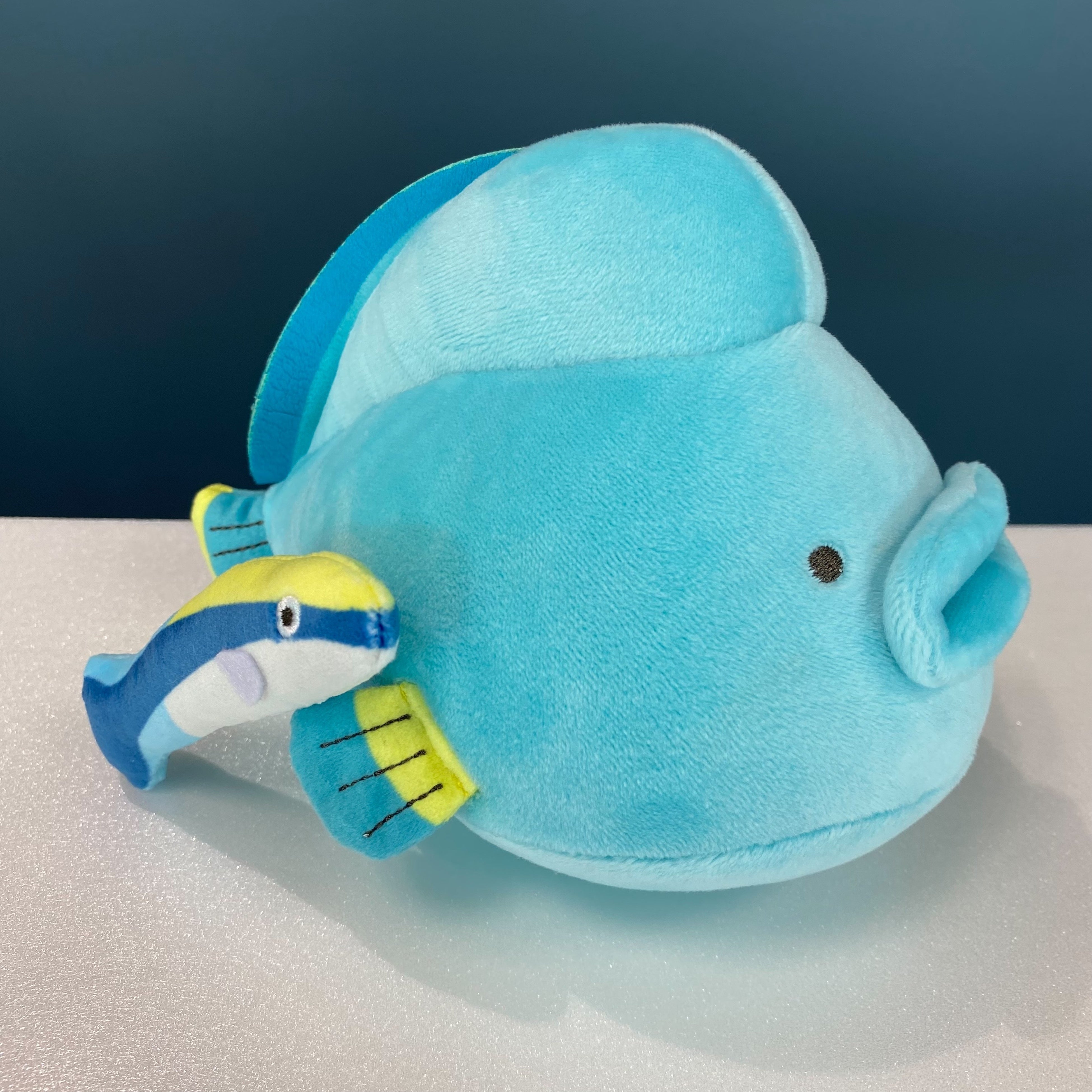 ナポレオンフィッシュ