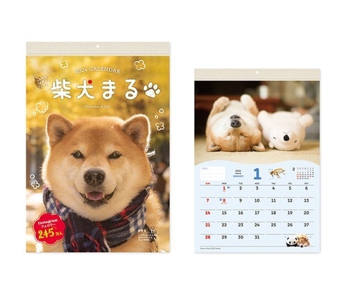 柴犬まる　壁掛けカレンダー