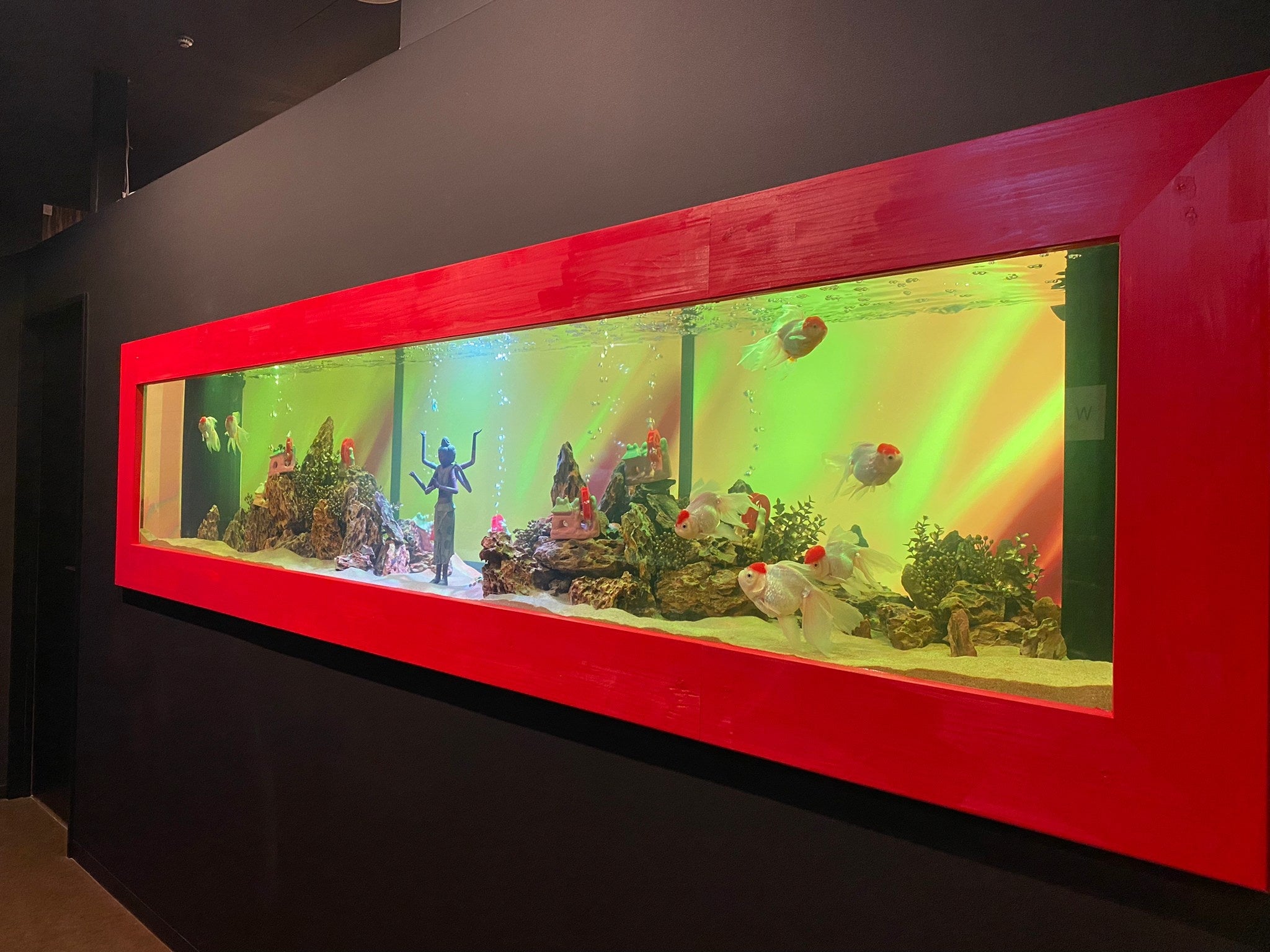 金魚のテーマパーク 奈良県奈良市 金魚ミュージアム が 学び 体験 地方創生 をコンセプトとした4つの新エリアをオープン 株式会社uws Entertainmentのプレスリリース