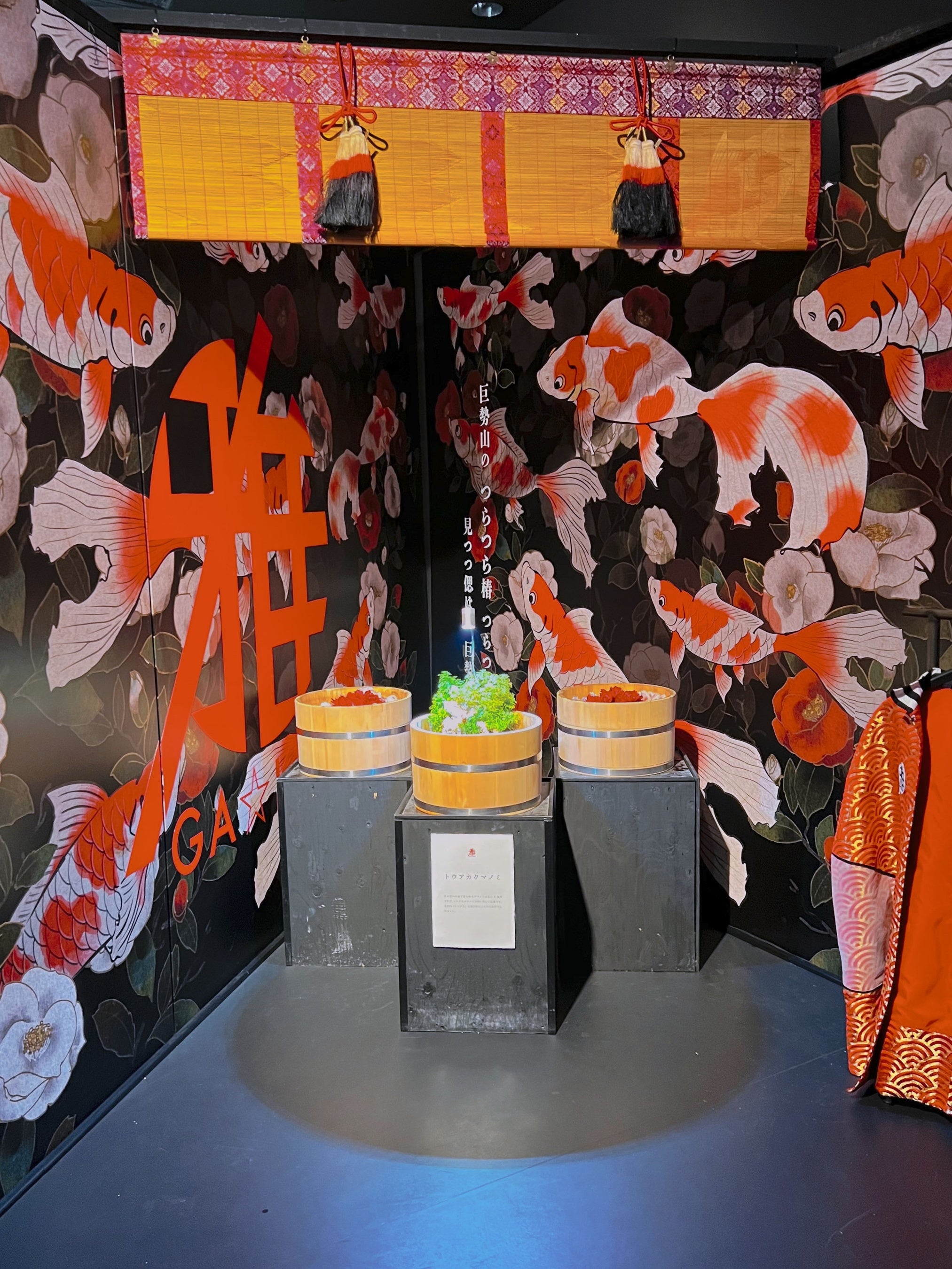 バレンタイン期間限定】上から覗くとハート模様が見える「トウアカ