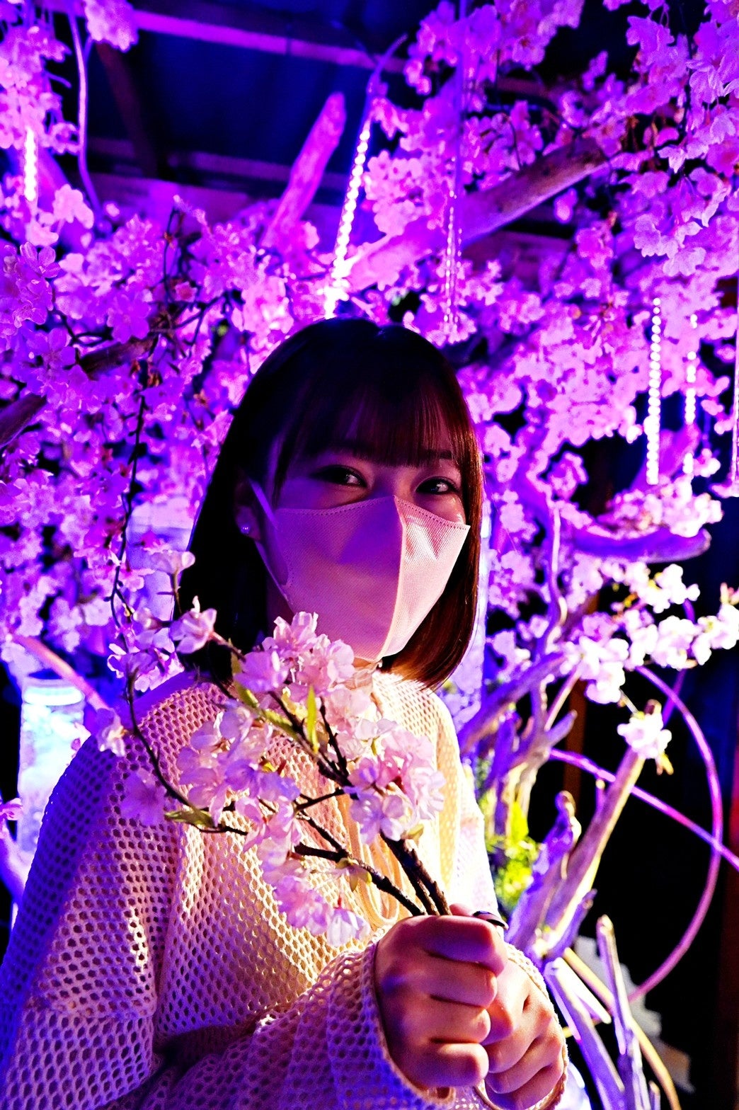 値下げ交渉あり。超美品！桜の花　金箔　油彩画 本金押箔色紙 富士に桜 - 紀伊國屋書店ウェブストア｜オンライン