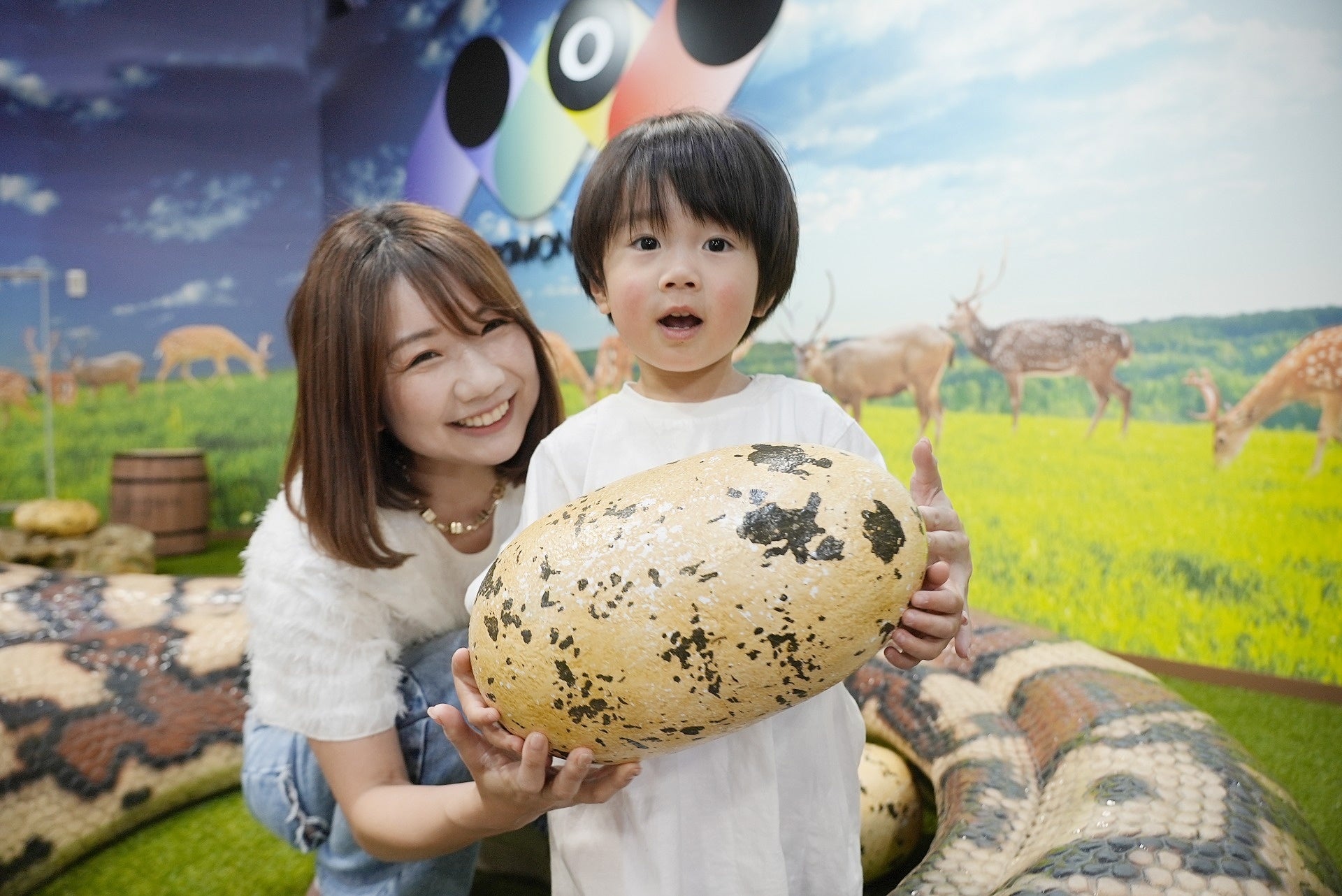 「NARA IKIMONO MUSEUM」がミ・ナーラにオープン!個性豊かないきもの達との触れ合いで癒しと刺激的な体験を。 「NARA IKIMONO MUSEUM」がミ・ナーラにオープン!個性豊かないきもの達との触れ合いで癒しと刺激的な体験を。