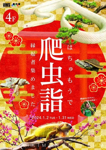縁起物の爬虫類と迎える2024年!お正月限定の特別展示「爬虫詣(はちゅもうで)-2024」を開催!運気がアップしそうな白蛇の展示や、黄金のイグアナとのチェキ会も実施! 縁起物の爬虫類と迎える2024年!お正月限定の特別展示「爬虫詣(はちゅもうで)-2024」を開催!運気がアップしそうな白蛇の展示や、黄金のイグアナとのチェキ会も実施!