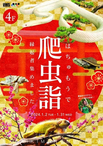 縁起物の爬虫類と迎える2024年！お正月限定の特別展示「爬虫詣(はちゅもうで)-2024」を開催！運気がアップしそうな白蛇の展示や、黄金のイグアナとのチェキ会も実施！