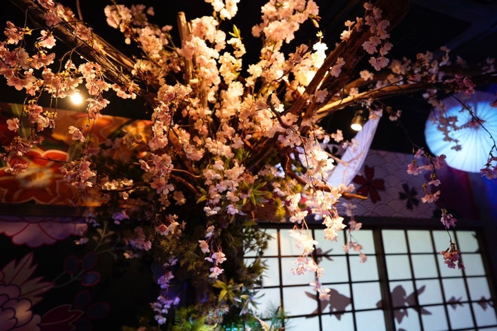 奈良金魚ミュージアム特別展「桜灯金魚」2024年春開催!桜の木と金魚が織りなす幻想的な光景 奈良金魚ミュージアム特別展「桜灯金魚」2024年春開催!桜の木と金魚が織りなす幻想的な光景