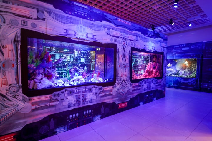 期間限定「UNDER WATER SPACE NAGOYA」 mozoワンダーシティに明日オープン! 期間限定「UNDER WATER SPACE NAGOYA」 mozoワンダーシティに明日オープン!