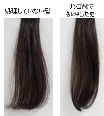 図3. 弱い力で冷風乾燥したくせ毛