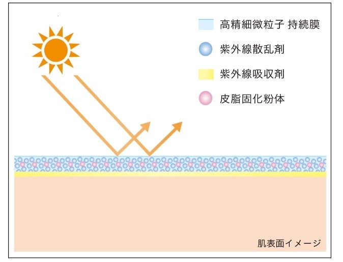 【塗膜イメージ】