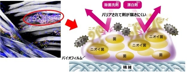 ※2 当社除菌洗剤・酸素系漂白剤