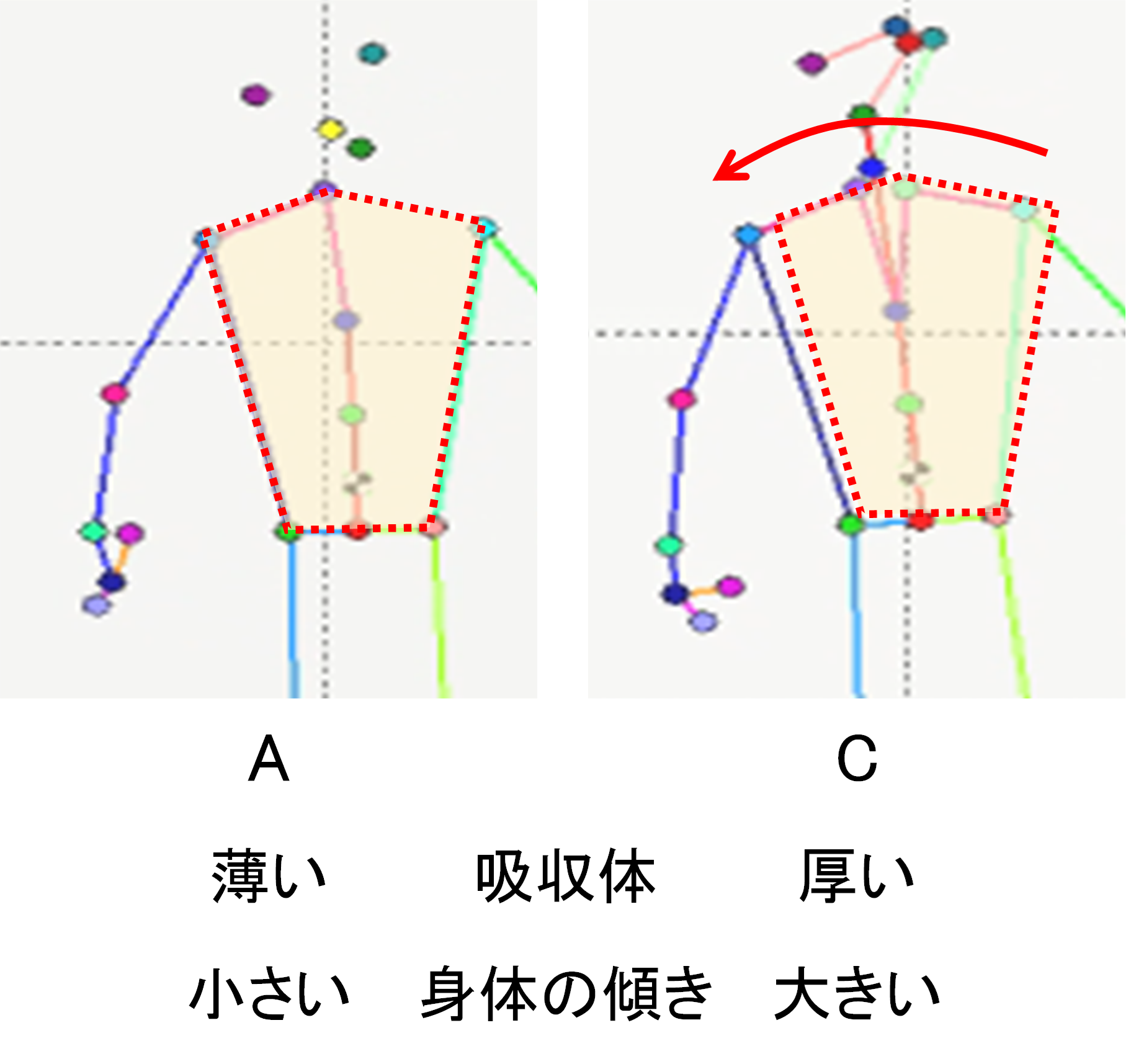 図4　歩行時の身体の横揺れの例（右足に体重がかかっている時）