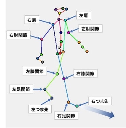 図2　マーカーレス3次元動作解析装置による解析画像