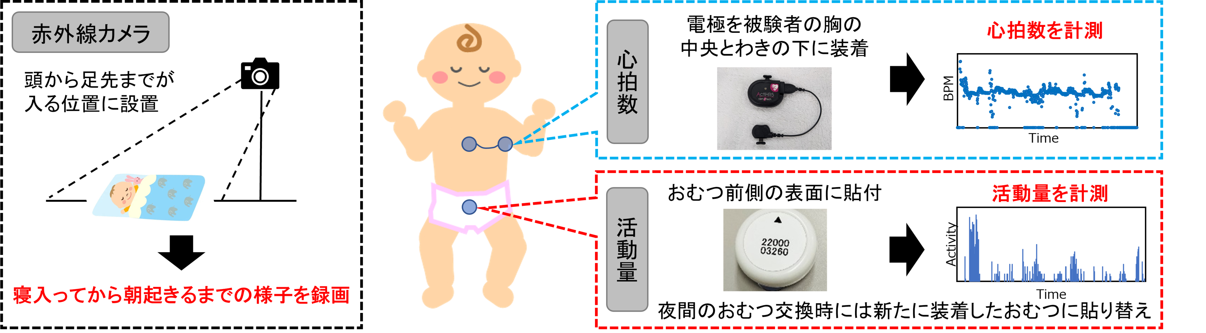 図2　乳幼児の睡眠の生理測定