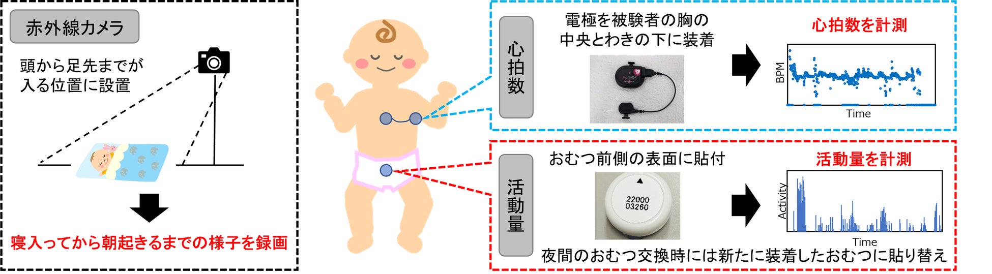 図2　乳幼児の睡眠の生理測定