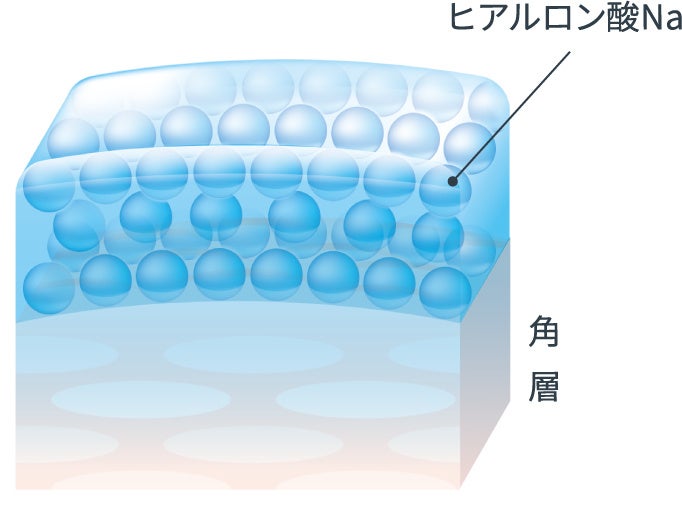 「ヒアロ保水膜※1」が肌に密着 （イメージ）