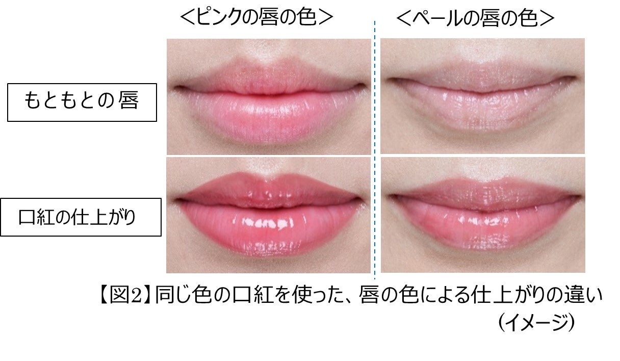 大人の唇の色をきれいに見せる リップメイク 新提案 花王株式会社 ニュースリリース のプレスリリース 大人の唇の色をきれいに見せる リップメイク 新提案 花王株式会社 ニュースリリース のプレスリリース