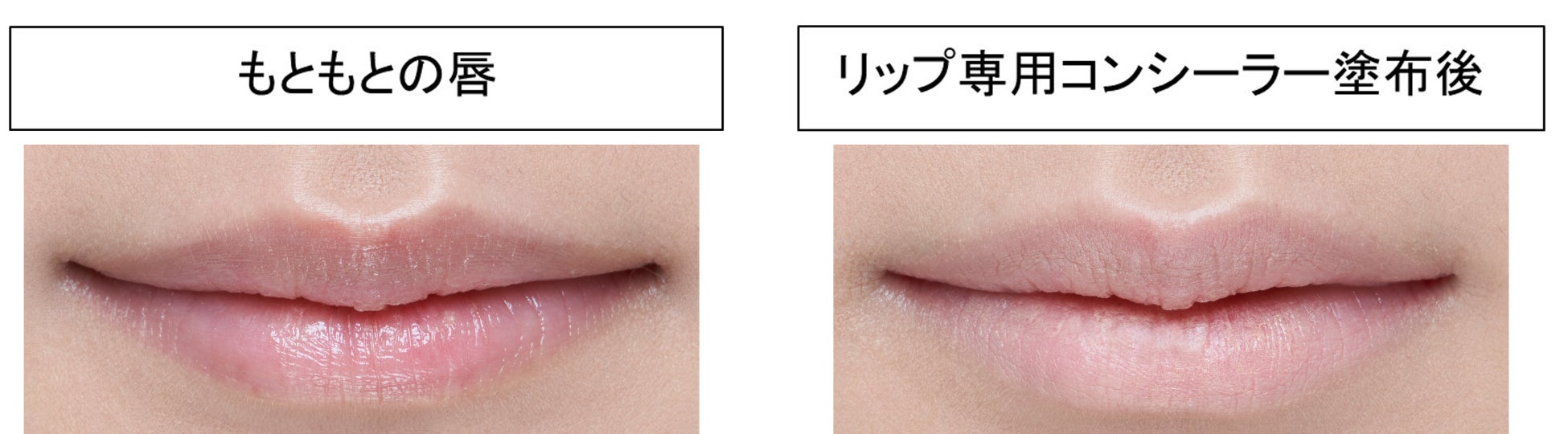 大人の唇の色をきれいに見せる リップメイク 新提案 花王株式会社 ニュースリリース のプレスリリース 大人の唇の色をきれいに見せる リップメイク 新提案 花王株式会社 ニュースリリース のプレスリリース