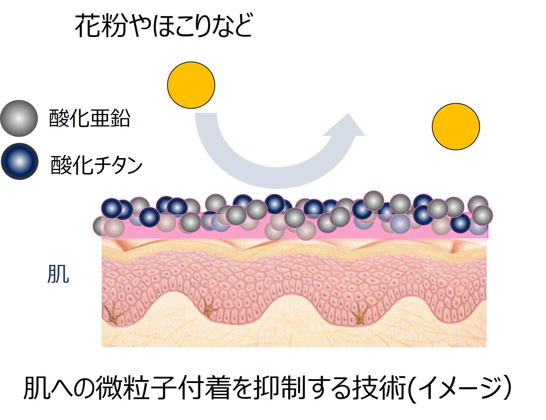 肌への微粒子付着を抑制する技術(イメージ）