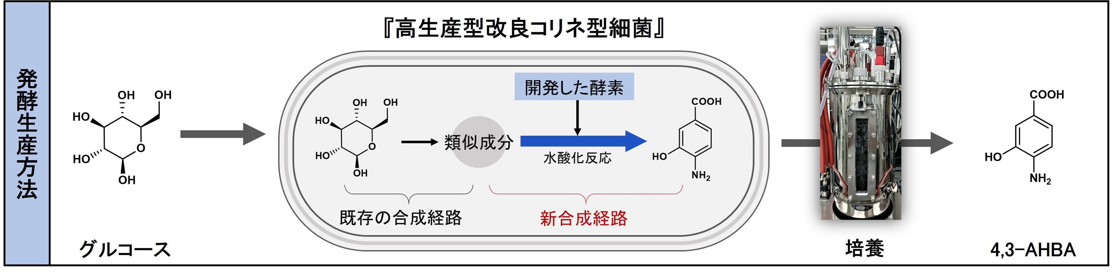 図2．4,3-AHBAの生産プロセスのイメージ