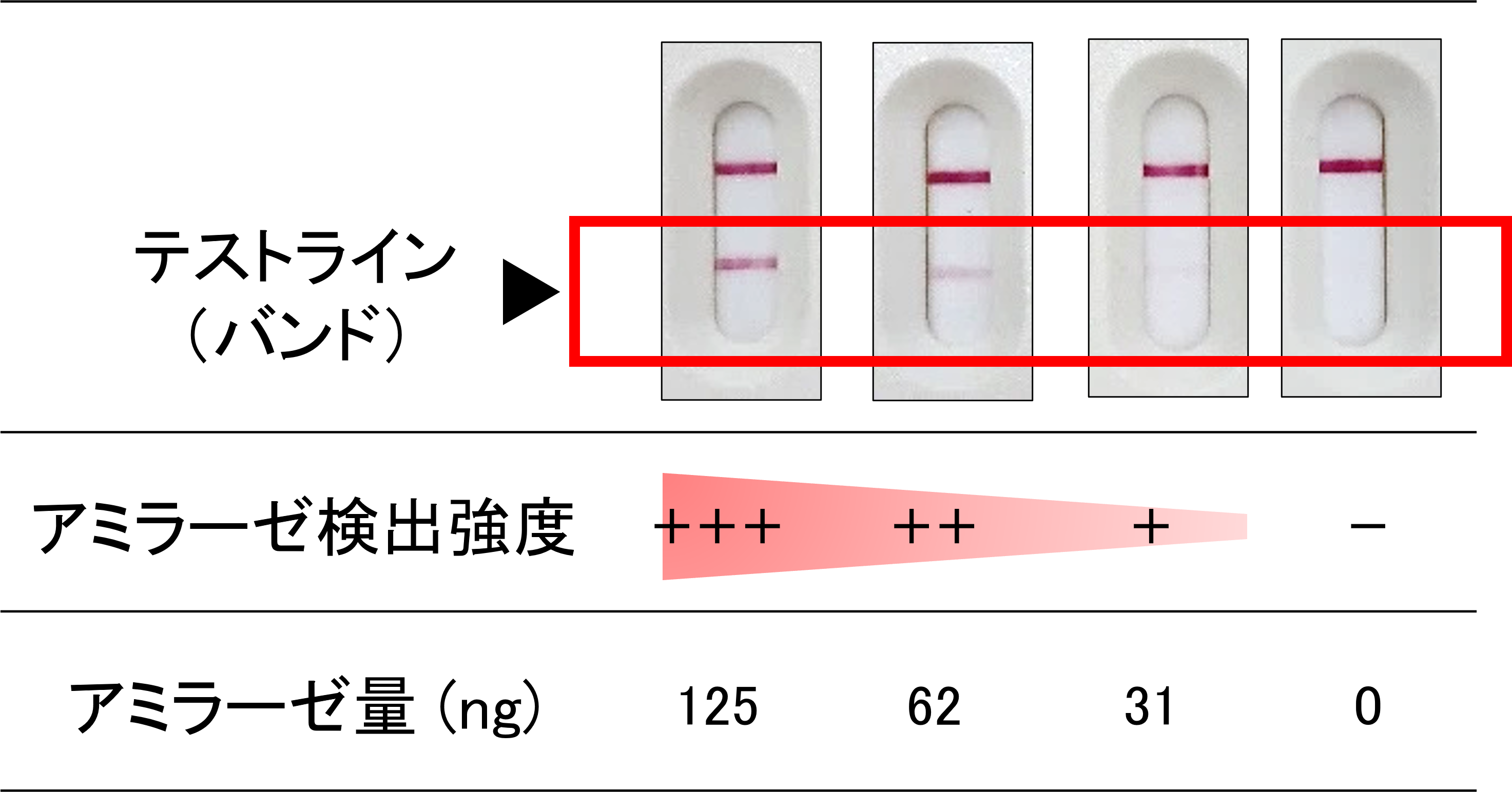 図2．イムノクロマト法でのアミラーゼ検査
