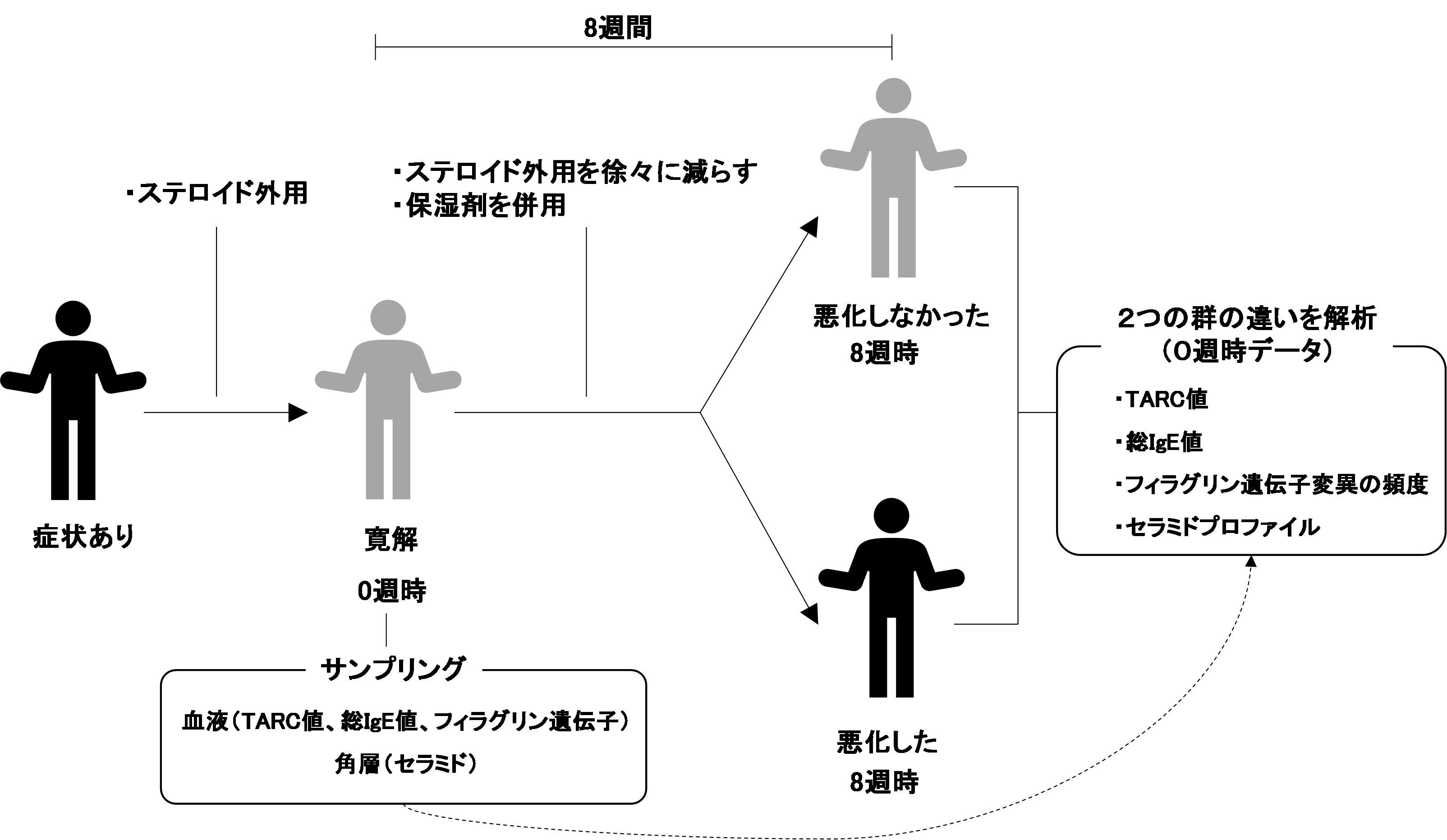 図1　試験デザイン