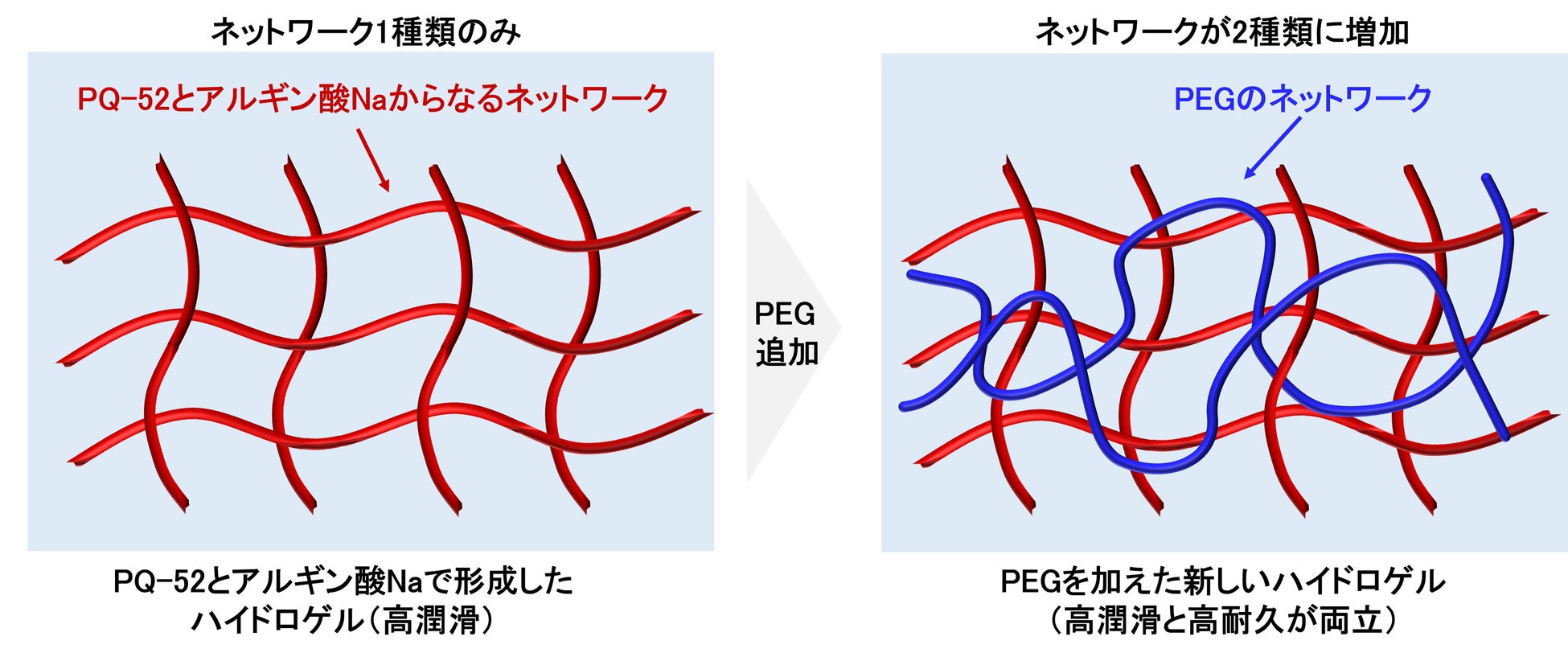 図1新素材に形成したネットワーク構造のイメージ図