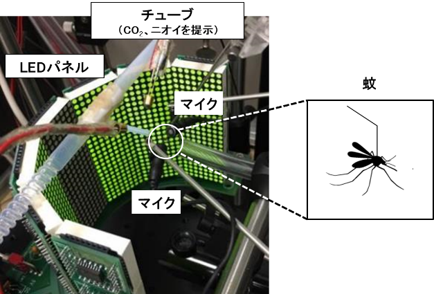 蚊に特化した独自の仮想空間を構築