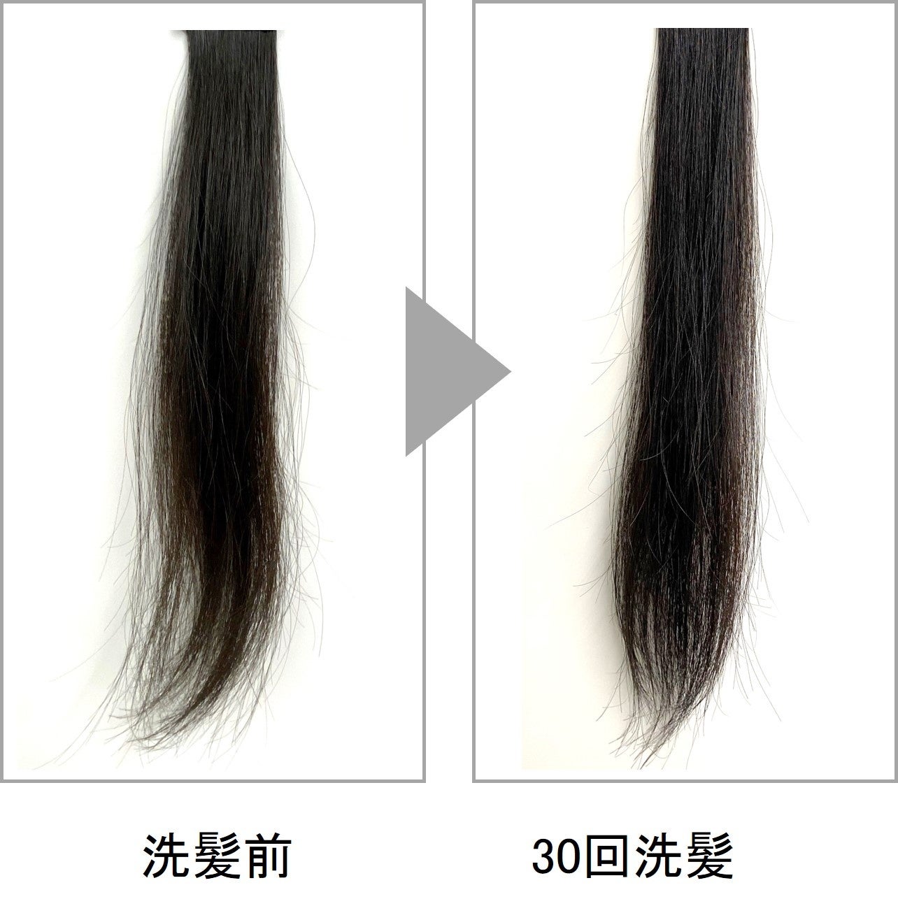 図3　洗髪前後の毛束の外観比較
