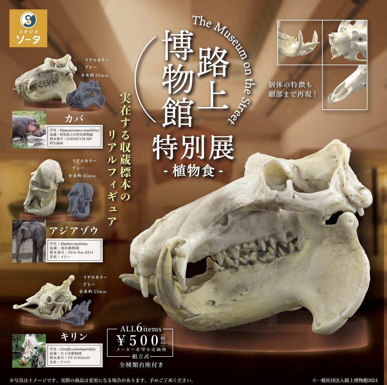 天王寺動物園&群馬県立自然史博物館&池田動物園由来のキリン・カバ・ゾウの頭骨標本を3Dスキャンし精巧に再現したカプセルトイ「路上博物館 特別展 ...