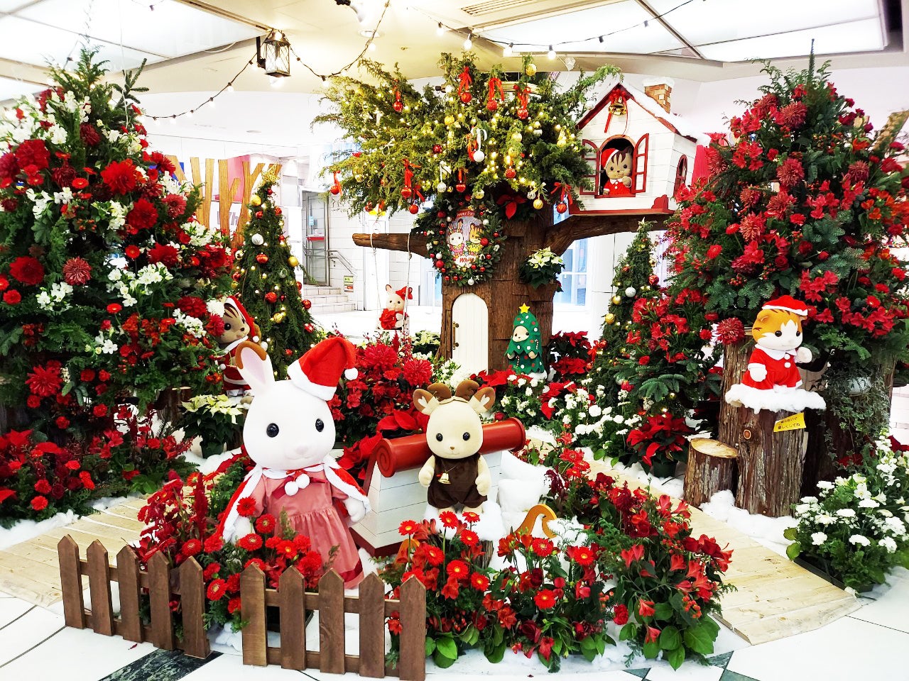 ※写真はクリスマス装飾