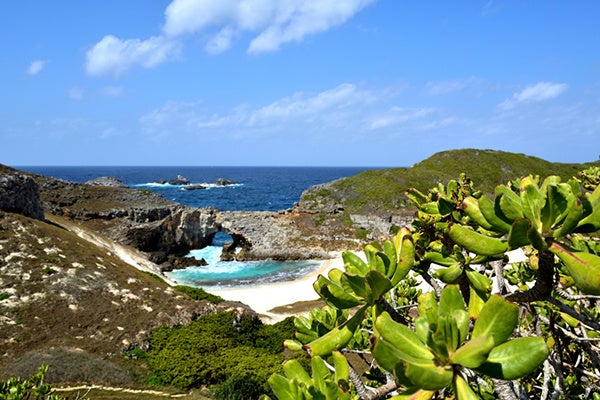 ＜小笠原諸島の南島＞