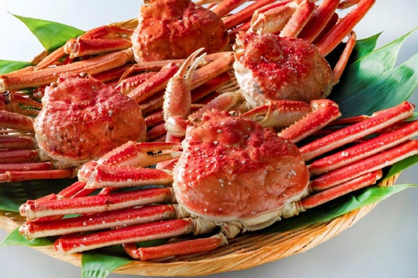 Fene Oefnknzm Fene Oefnknzm