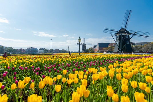 「ハウステンボスでしたいこと」ランキング ~1位は街並み散策?アトラクション? 阪急交通社が公開~ 「ハウステンボスでしたいこと」ランキング ~1位は街並み散策?アトラクション? 阪急交通社が公開~