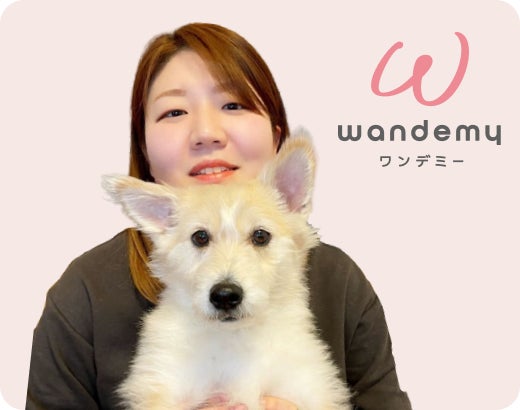 500人の飼い主の声 から開発されたオーダーメイドカリキュラムを全国どこからでも受講オンラインドッグスクール wandemy ワンデミー が開校 株式会社hobbysのプレスリリース 500人の飼い主の声 から開発されたオーダーメイドカリキュラムを全国どこからでも受講オンラインドッグスクール wandemy ワンデミー が開校 株式会社hobbysのプレスリリース