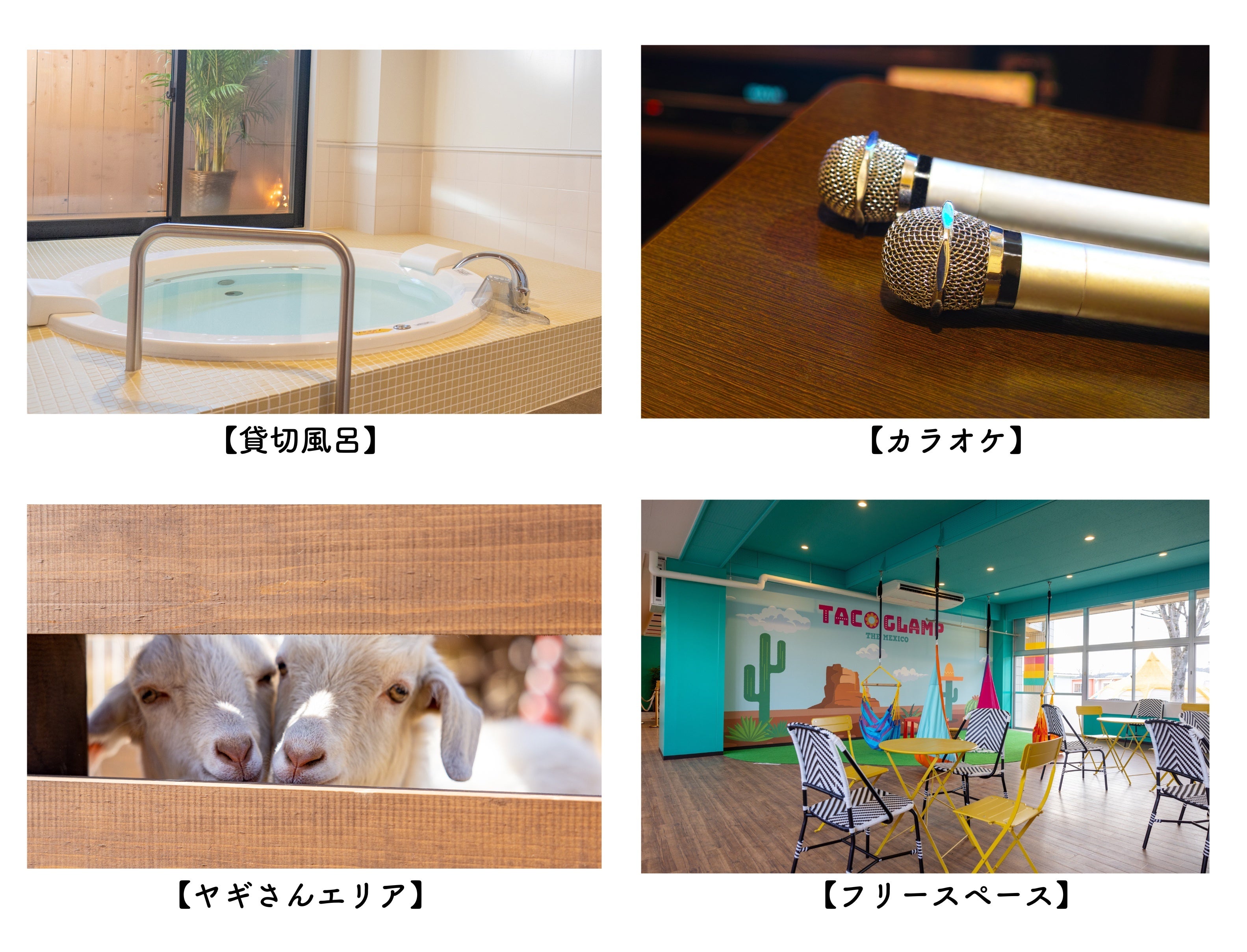 2023年3月7日グランドオープン】小学校をまるごとリノベーション