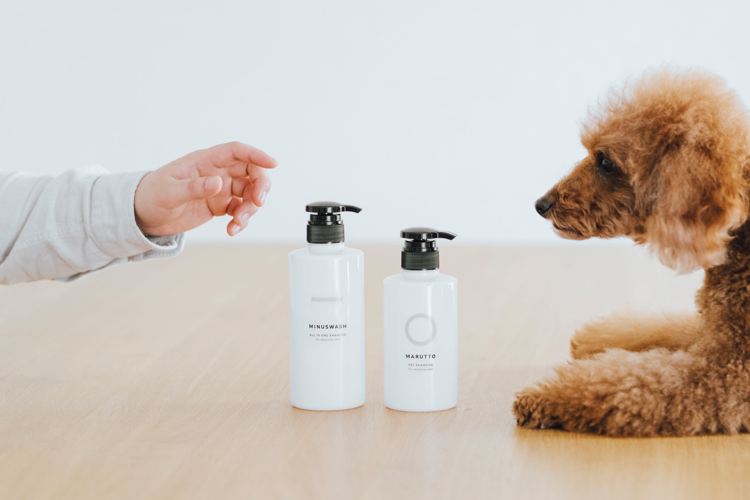 人とペット、家族みんなを優しく洗う