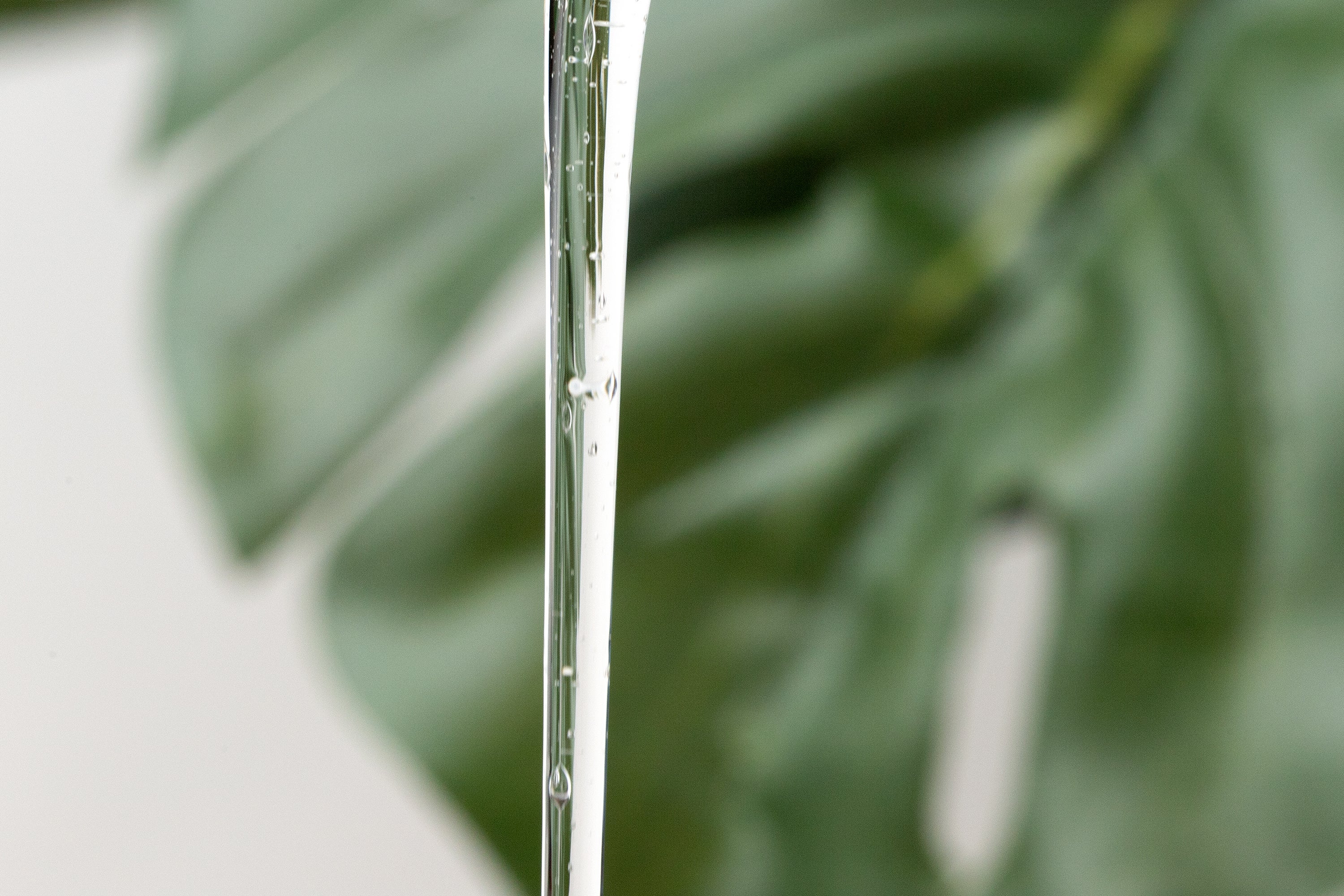 天然由来成分100%で作るペットシャンプー