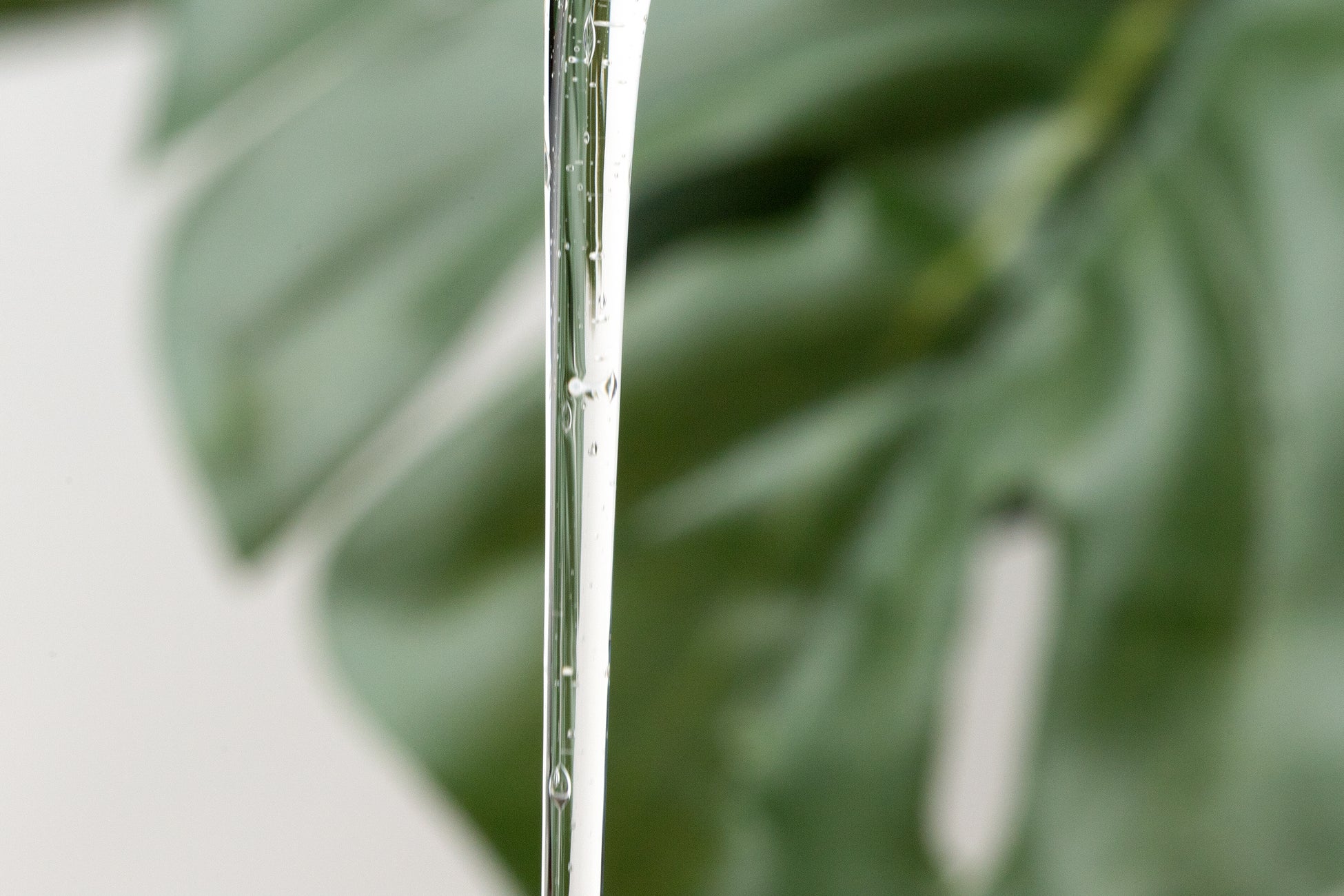 天然由来成分100%で作るペットシャンプー