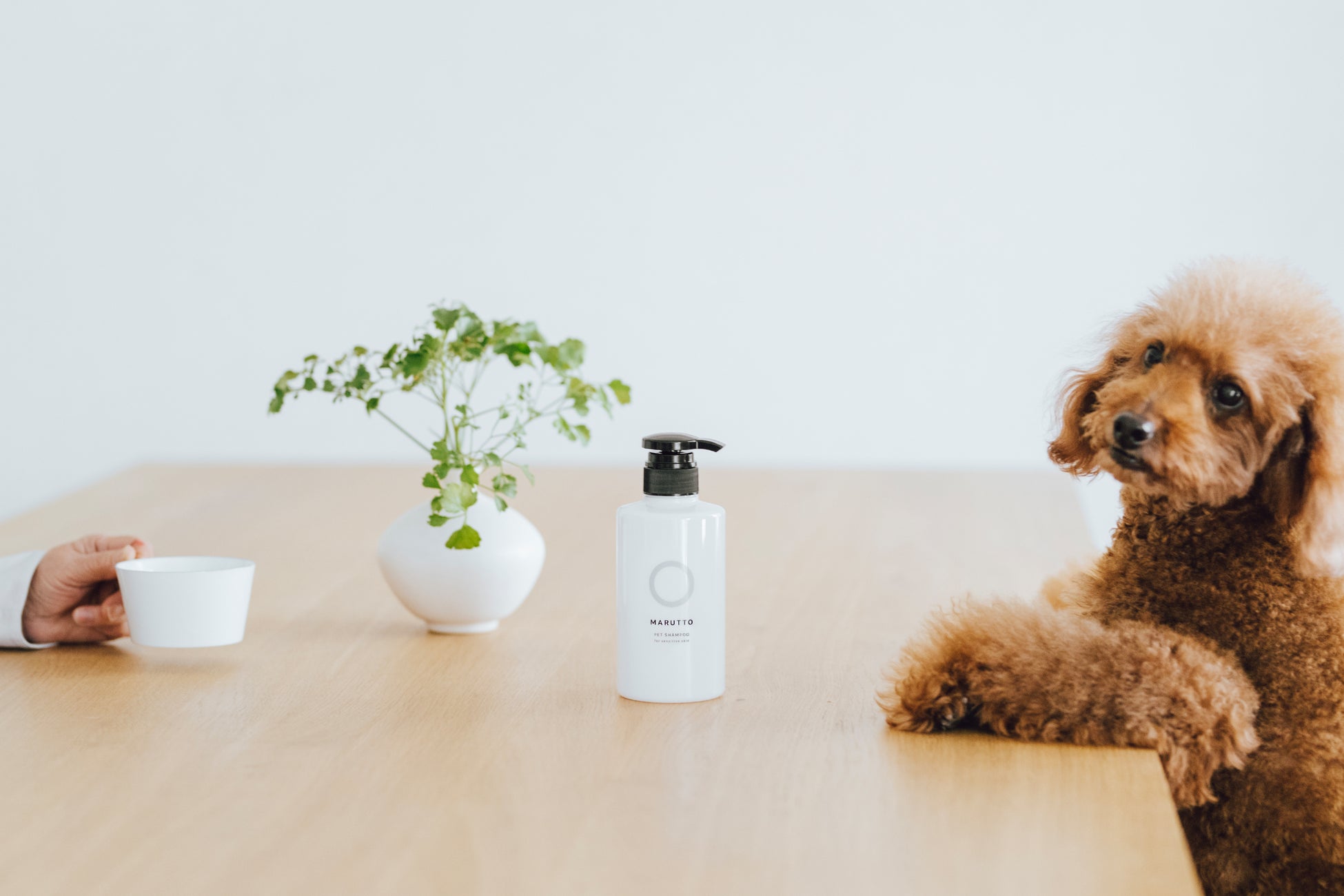 マルットペット